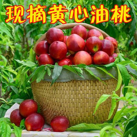 現(xiàn)摘當(dāng)季時(shí)令新鮮水果黃油桃3斤包郵 非水蜜非毛桃，這才是夏天的甜蜜滋味