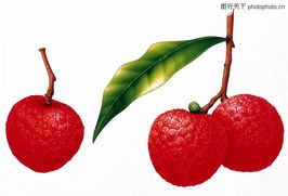 鮮果變蜜餞 一門(mén)穿越時(shí)空的傳統(tǒng)技藝